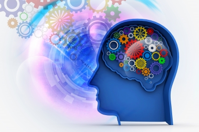 cerebro funcionamiento